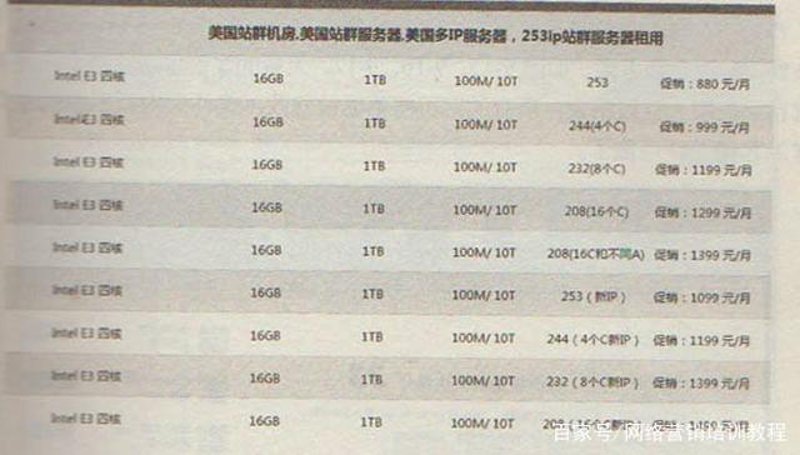 站群程序出售市场趋势分析与应用探讨